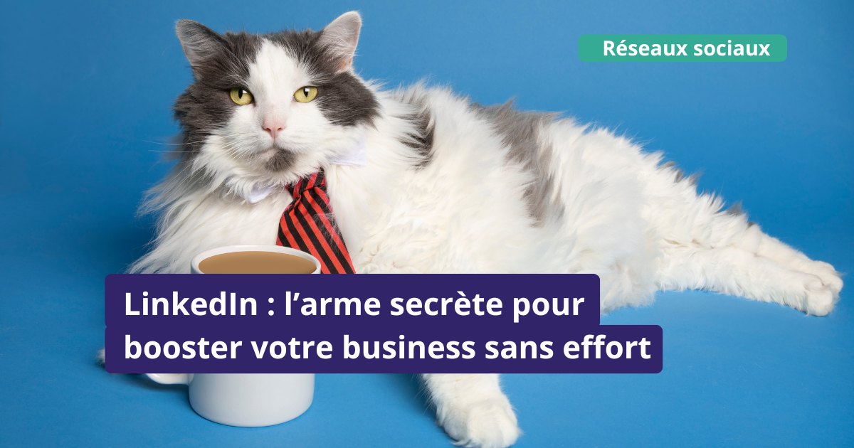 You are currently viewing LinkedIn : un outil incontournable pour votre entreprise